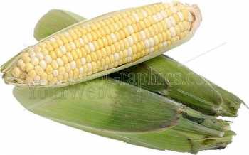 photo - corn-2-jpg